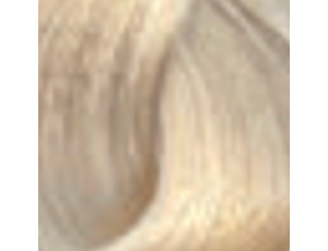 ENVIE HAIR COLOR profesjonalna trwała farba do włosów 100 ml | 12.0 - image 2