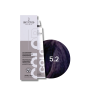 ENVIE HAIR COLOR profesjonalna trwała farba do włosów 100 ml | 5.2 - 2