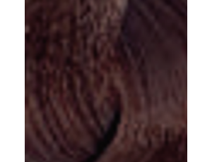ENVIE HAIR COLOR profesjonalna trwała farba do włosów 100 ml | 6.04 - image 2