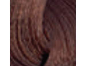 ENVIE HAIR COLOR profesjonalna trwała farba do włosów 100 ml | 7.04 - image 2