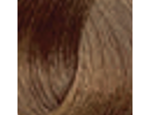 ENVIE HAIR COLOR profesjonalna trwała farba do włosów 100 ml | 7.31 - image 2