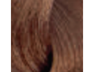 ENVIE HAIR COLOR profesjonalna trwała farba do włosów 100 ml | 7.34 - image 2