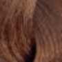 ENVIE HAIR COLOR profesjonalna trwała farba do włosów 100 ml | 7.34 - 3