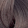 ENVIE HAIR COLOR profesjonalna trwała farba do włosów 100 ml | 8.02 - 3