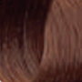 ENVIE HAIR COLOR profesjonalna trwała farba do włosów 100 ml | 8.04 - 3
