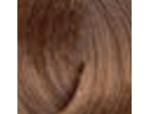ENVIE HAIR COLOR profesjonalna trwała farba do włosów 100 ml | 8.0B - image 2