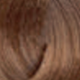 ENVIE HAIR COLOR profesjonalna trwała farba do włosów 100 ml | 8.0B - 3