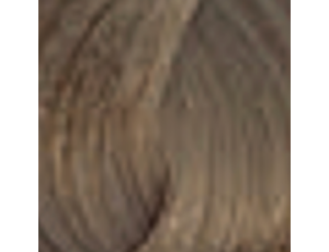 ENVIE HAIR COLOR profesjonalna trwała farba do włosów 100 ml | 8.13 - image 2