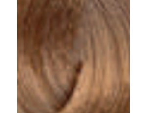 ENVIE HAIR COLOR profesjonalna trwała farba do włosów 100 ml | 8.3 - image 2