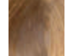 ENVIE HAIR COLOR profesjonalna trwała farba do włosów 100 ml | 9.0 - image 2