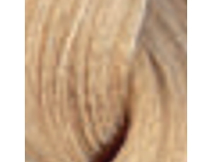 ENVIE HAIR COLOR profesjonalna trwała farba do włosów 100 ml | 9.03 - image 2