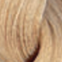 ENVIE HAIR COLOR profesjonalna trwała farba do włosów 100 ml | 9.03 - 3