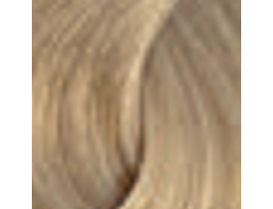 ENVIE HAIR COLOR profesjonalna trwała farba do włosów 100 ml | 9.31 - image 2