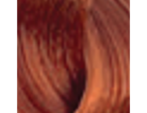 ENVIE HAIR COLOR profesjonalna trwała farba do włosów 100 ml | 9.4 - image 2