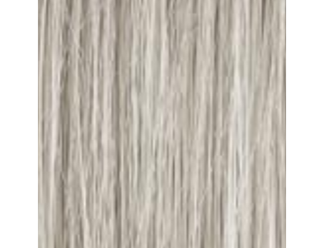 GENUS COLOR krem koloryzujący profesjonalna farba do włosów 100 ml | 10.21 - 2