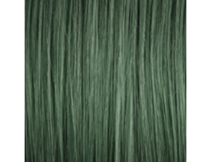 GENUS COLOR krem koloryzujący profesjonalna farba do włosów 100 ml | Green - image 2