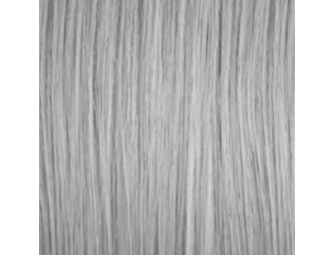 GENUS COLOR krem koloryzujący profesjonalna farba do włosów 100 ml | Silver - 2
