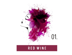 FUNKY COLOR toner odżywka koloryzująca w kremie 100 ml | 01 Red Wine - image 2