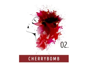 FUNKY COLOR toner odżywka koloryzująca w kremie 100 ml | 02 Cherrybomb - image 2