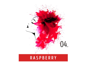FUNKY COLOR toner odżywka koloryzująca w kremie 100 ml | 04 Raspberry - image 2