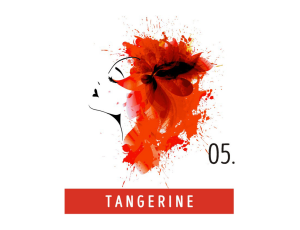FUNKY COLOR toner odżywka koloryzująca w kremie 100 ml | 05 Tangerine - image 2