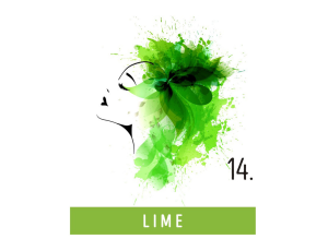 FUNKY COLOR toner odżywka koloryzująca w kremie 100 ml | 14 Lime - image 2