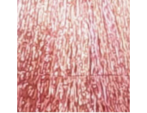 ALTER EGO BLONDEGO Pastel Toner pastelowy bez amoniaku 60 ml | Pink Pop - image 2