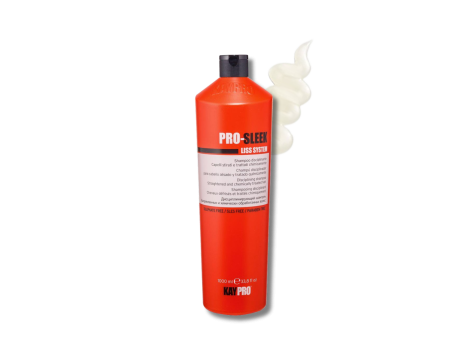 KAYPRO PRO-SLEEK szampon dyscyplinujący do włosów puszących się 1000 ml - 2