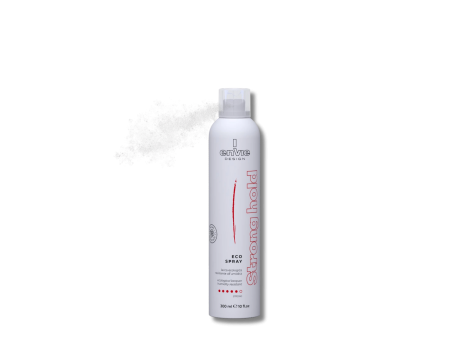 ENVIE DESIGN suchy lakier do włosów bez gazu ekologiczny mocny 300 ml - 2