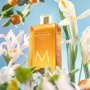 MOROCCANOIL BODY Shower Gel żel pod prysznic 250 ml | Soleil de Tanger - 6