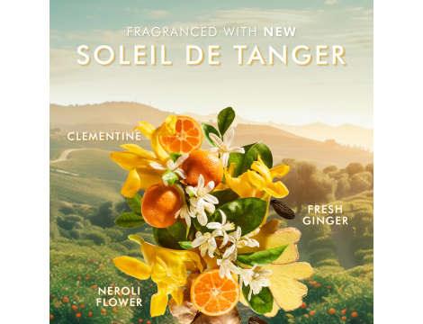 MOROCCANOIL BODY Hand Wash mydło do rąk w płynie 360 ml | Soleil de Tanger - 4