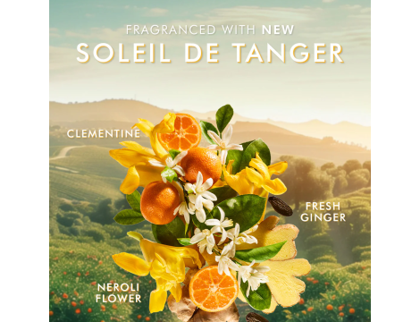 MOROCCANOIL BODY Lotion balsam do ciała 360 ml | Soleil de Tanger - 4