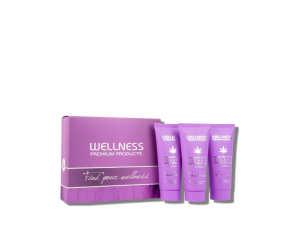 WELLNESS PREMIUM SILVER mini zestaw neutralizujący odcienie 3 x 50 ml