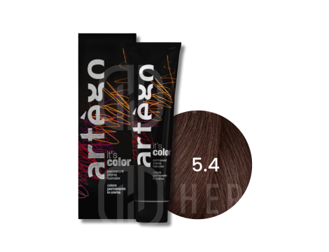 ARTEGO IT'S COLOR trwała farba do włosów 150 ml | 5.4