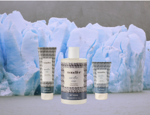 BY FAMA Wondher Arctic Ice